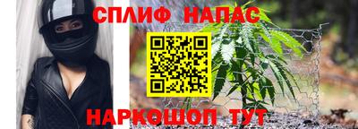 винт Донецк