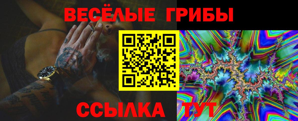 Галлюциногенные грибы GOLDEN TEACHER Миллерово